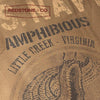 01-SERIE "AMPHIBIOUS"
